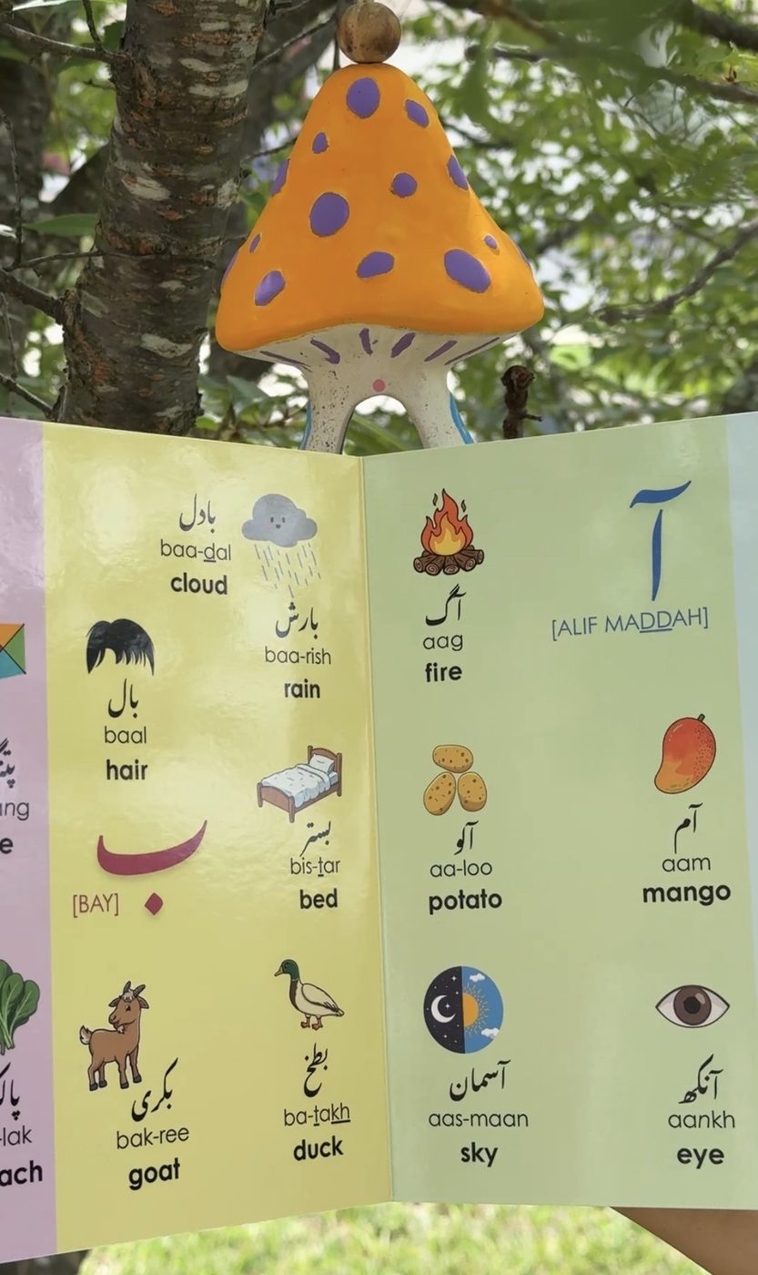 Inside page of Let's Learn Alif Bay Pay
