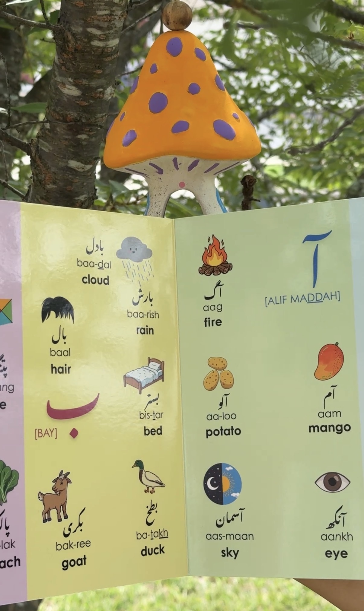 Inside page of Let's Learn Alif Bay Pay